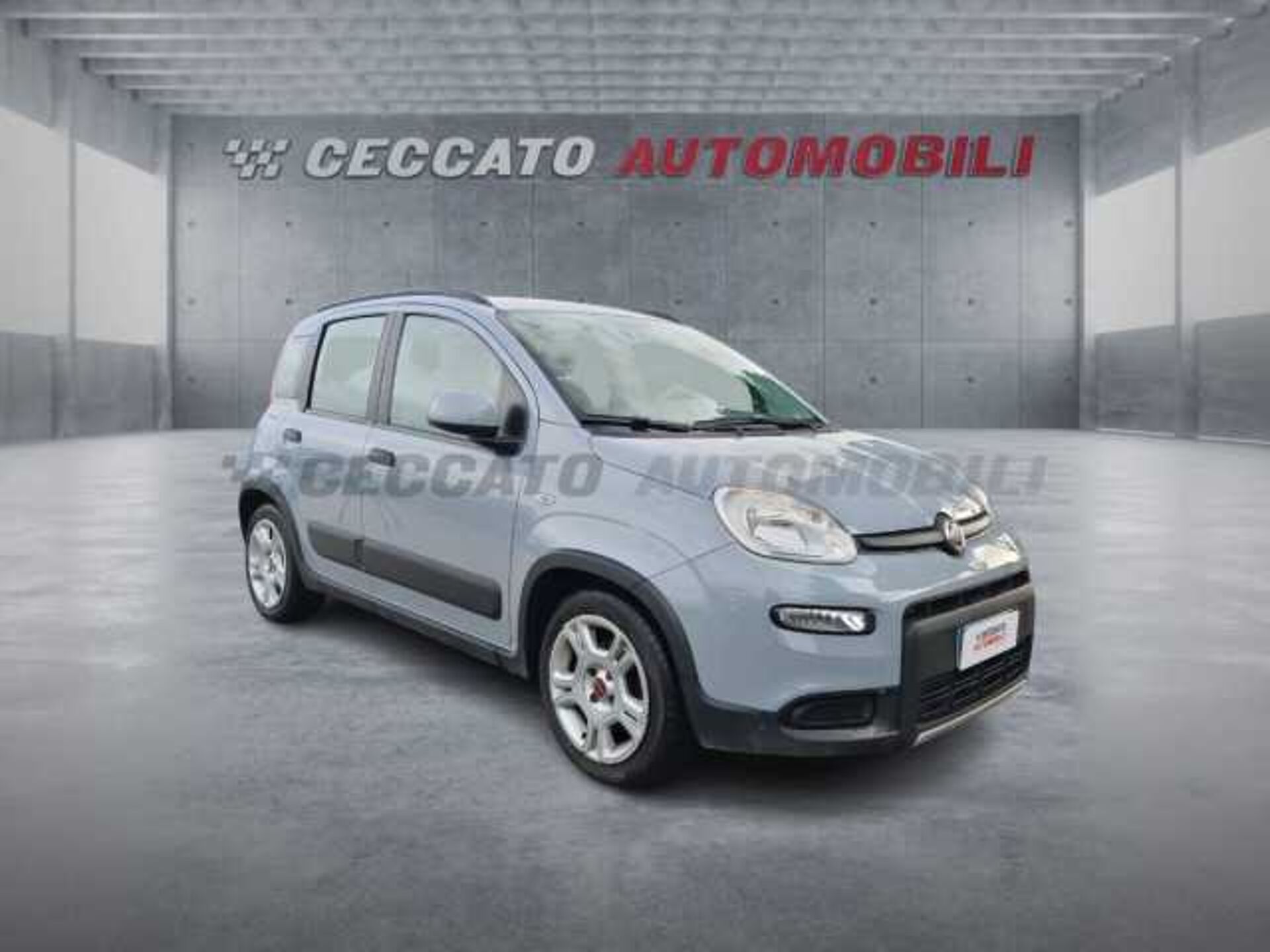 Fiat Panda 1.0l - grey