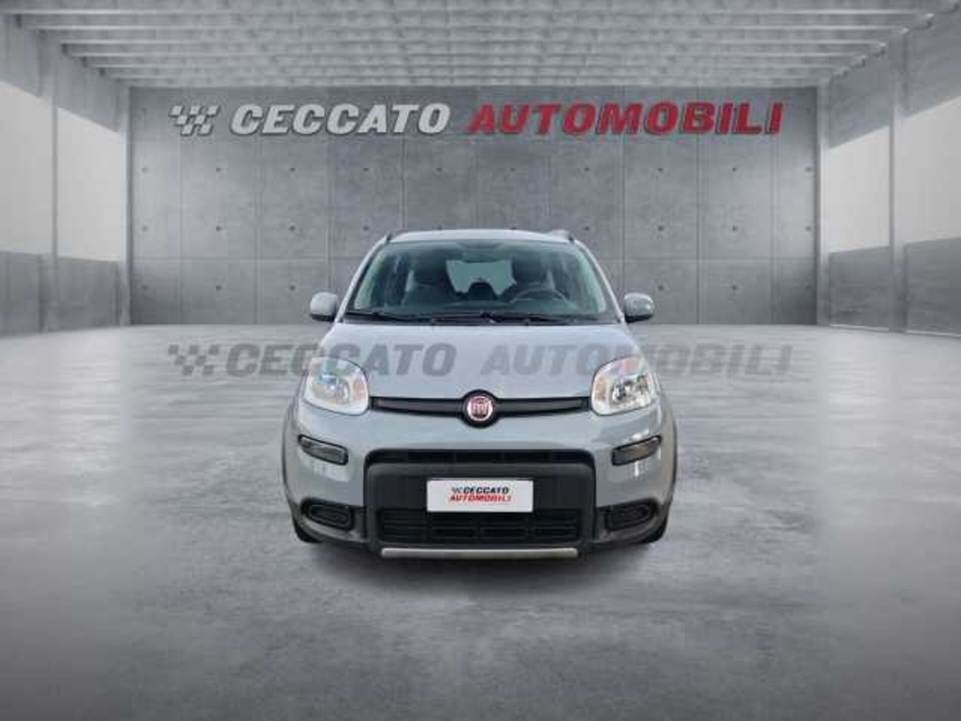 Fiat Panda 1.0l - grey