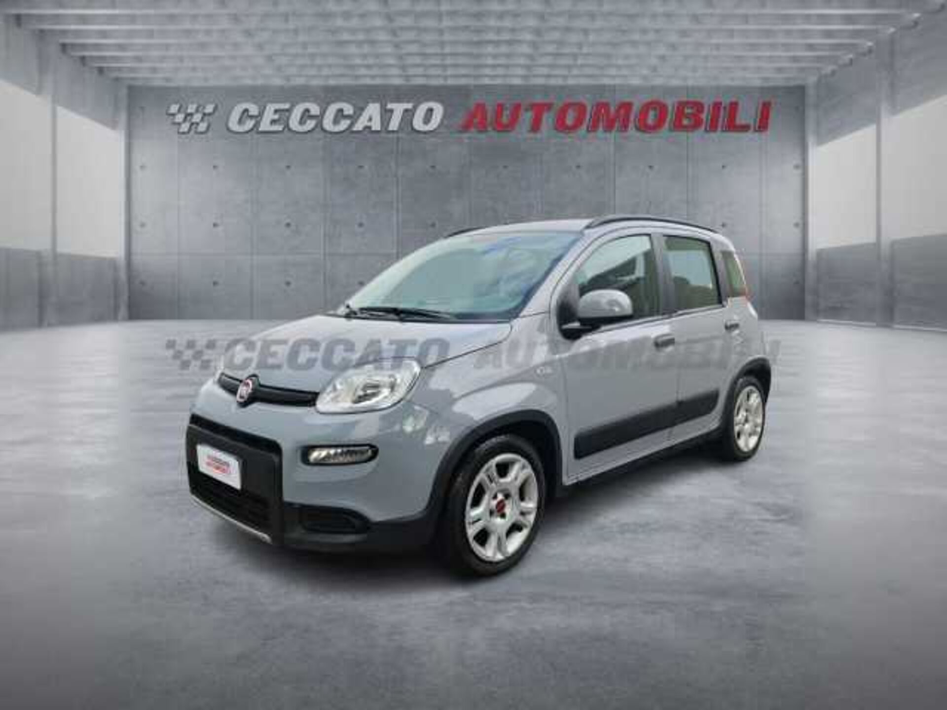Fiat Panda 1.0l - grey
