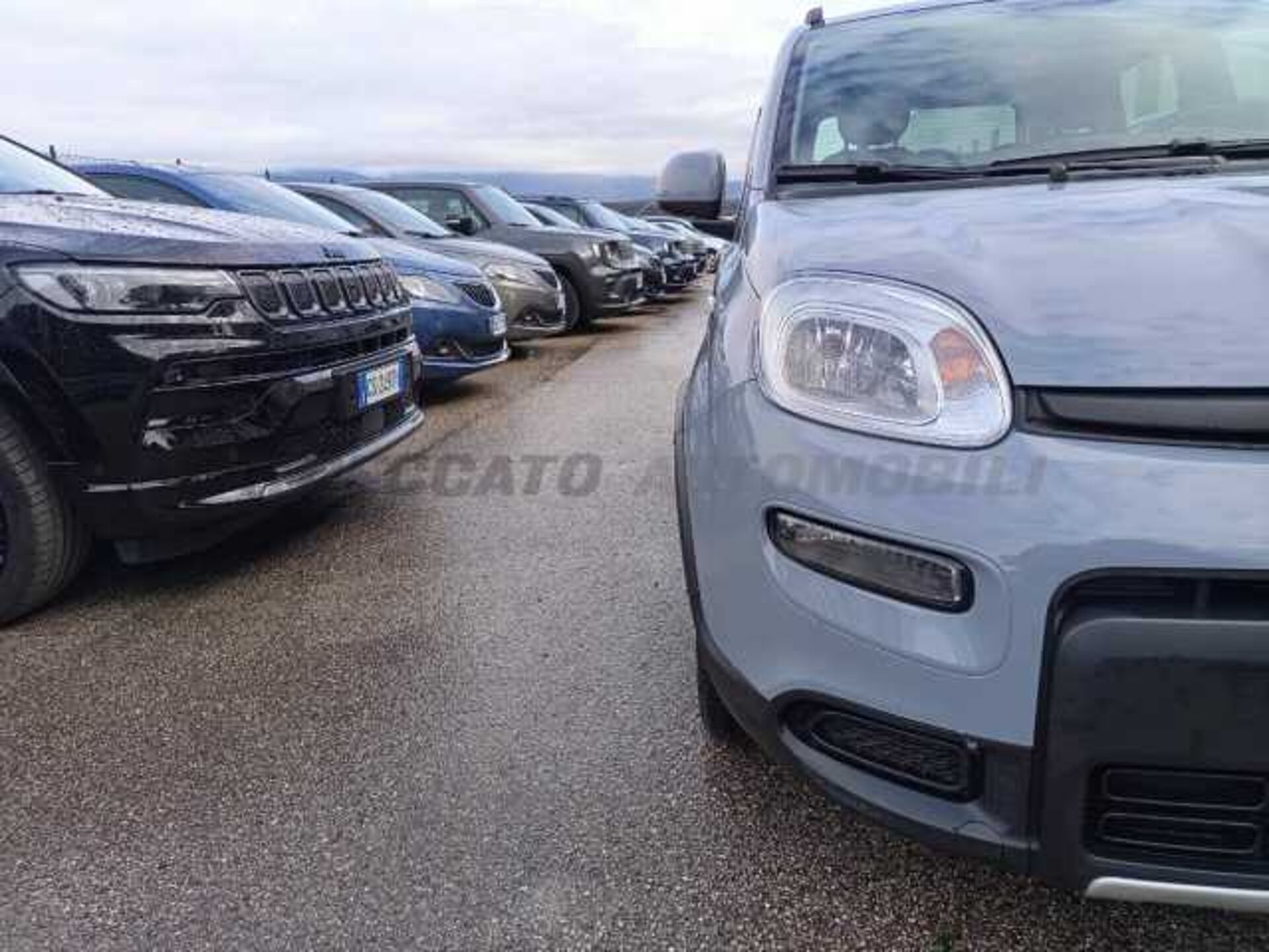 Fiat Panda 1.0l - grey