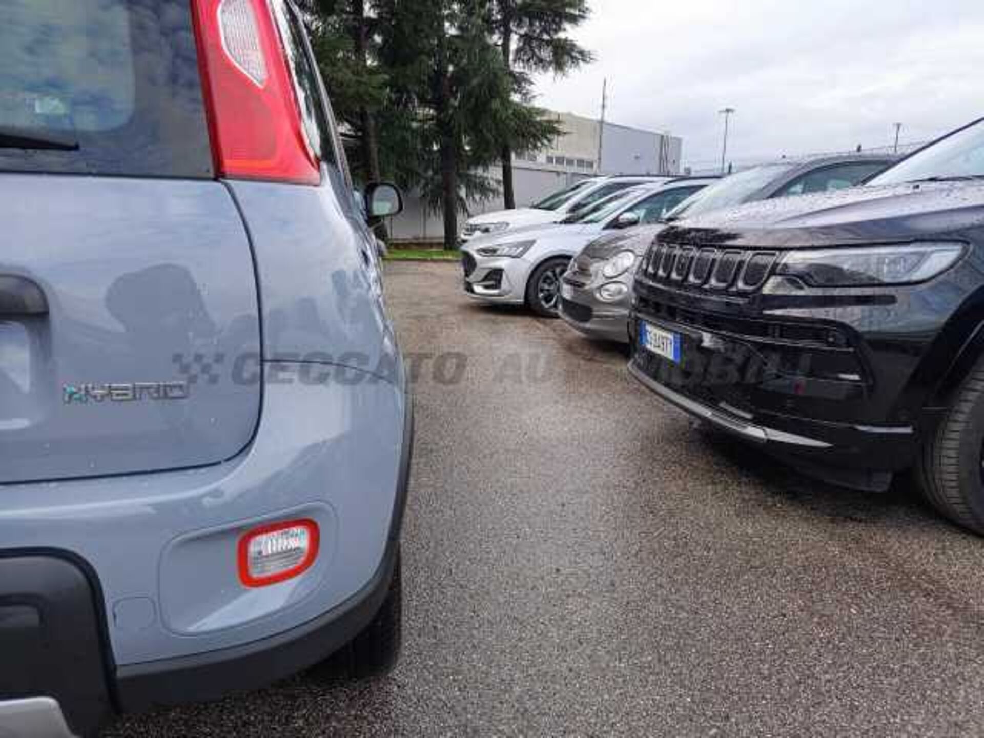 Fiat Panda 1.0l - grey