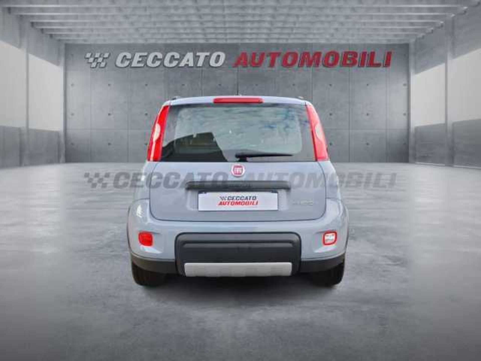 Fiat Panda 1.0l - grey