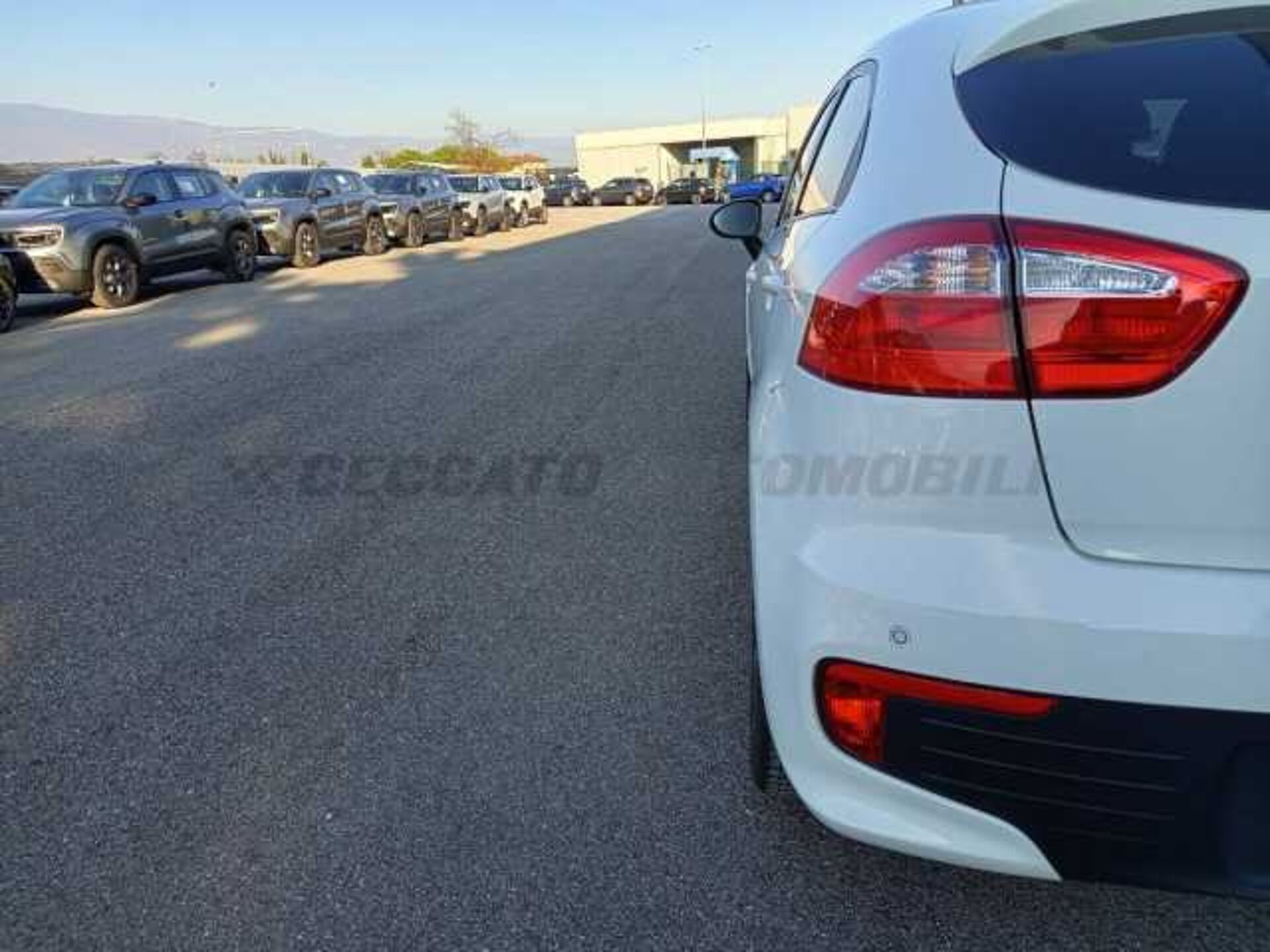 Kia Rio 1.2l - white