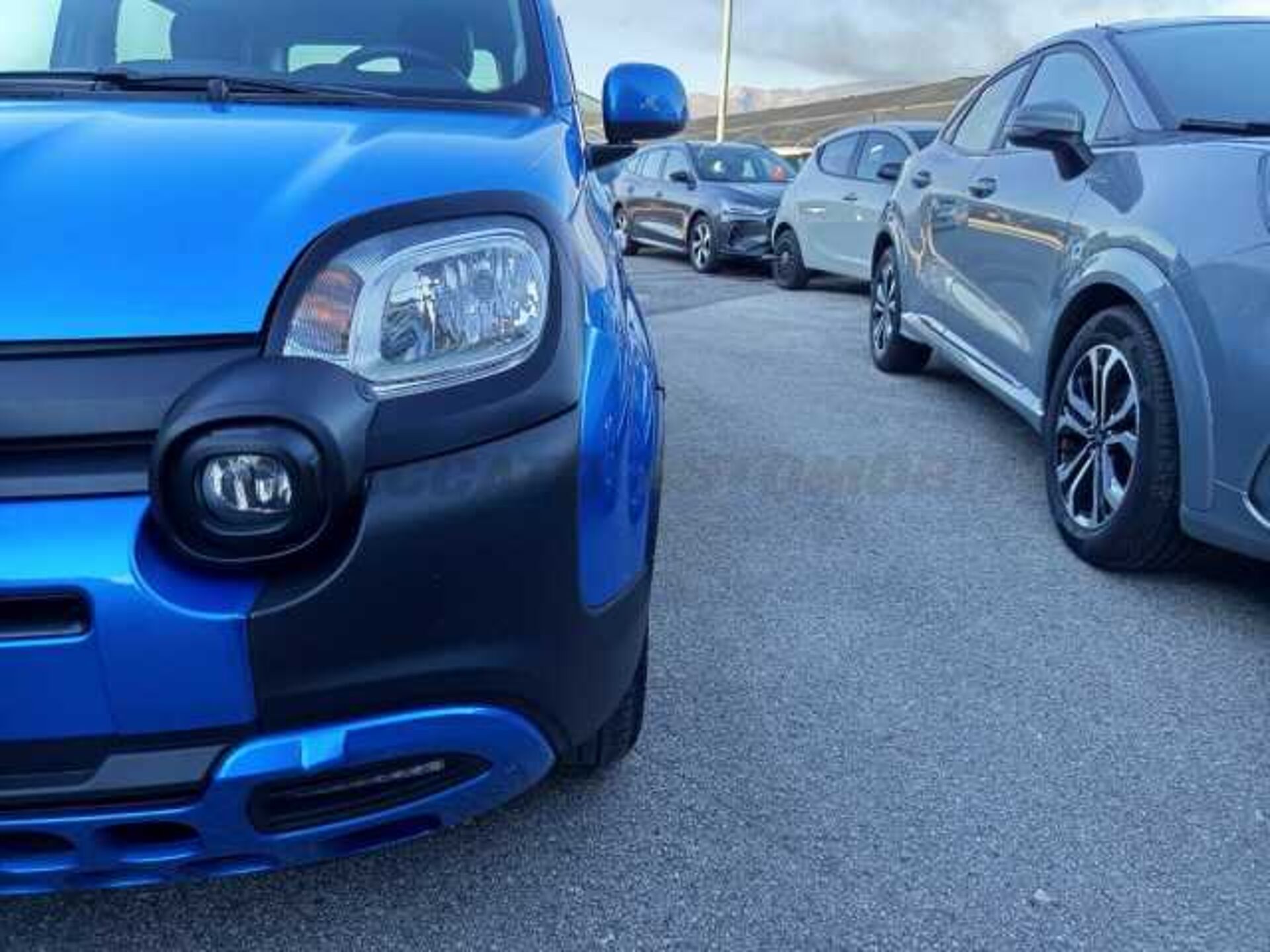 Fiat Panda 1.0l - blue