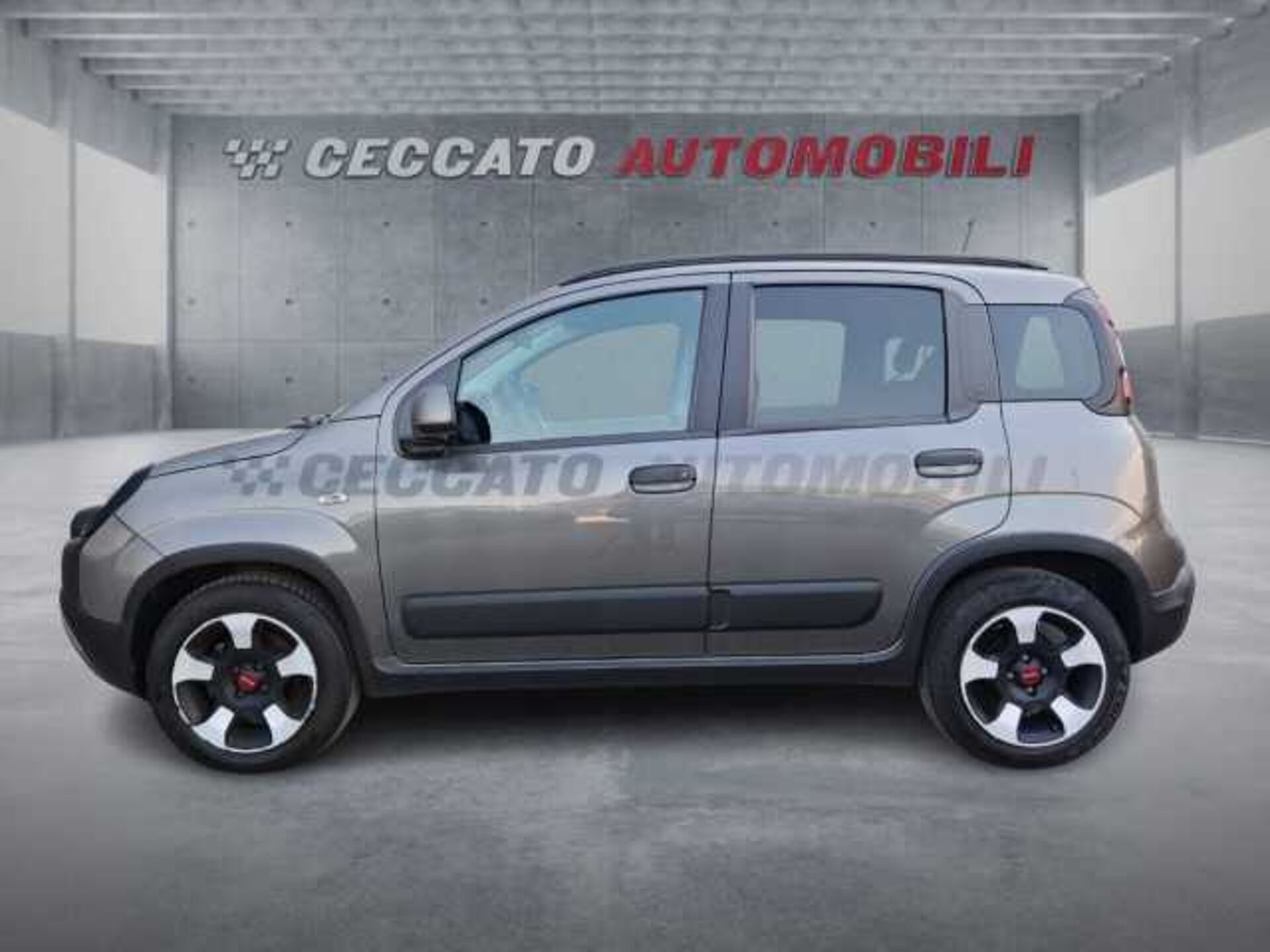 Fiat Panda 1.0l - grey