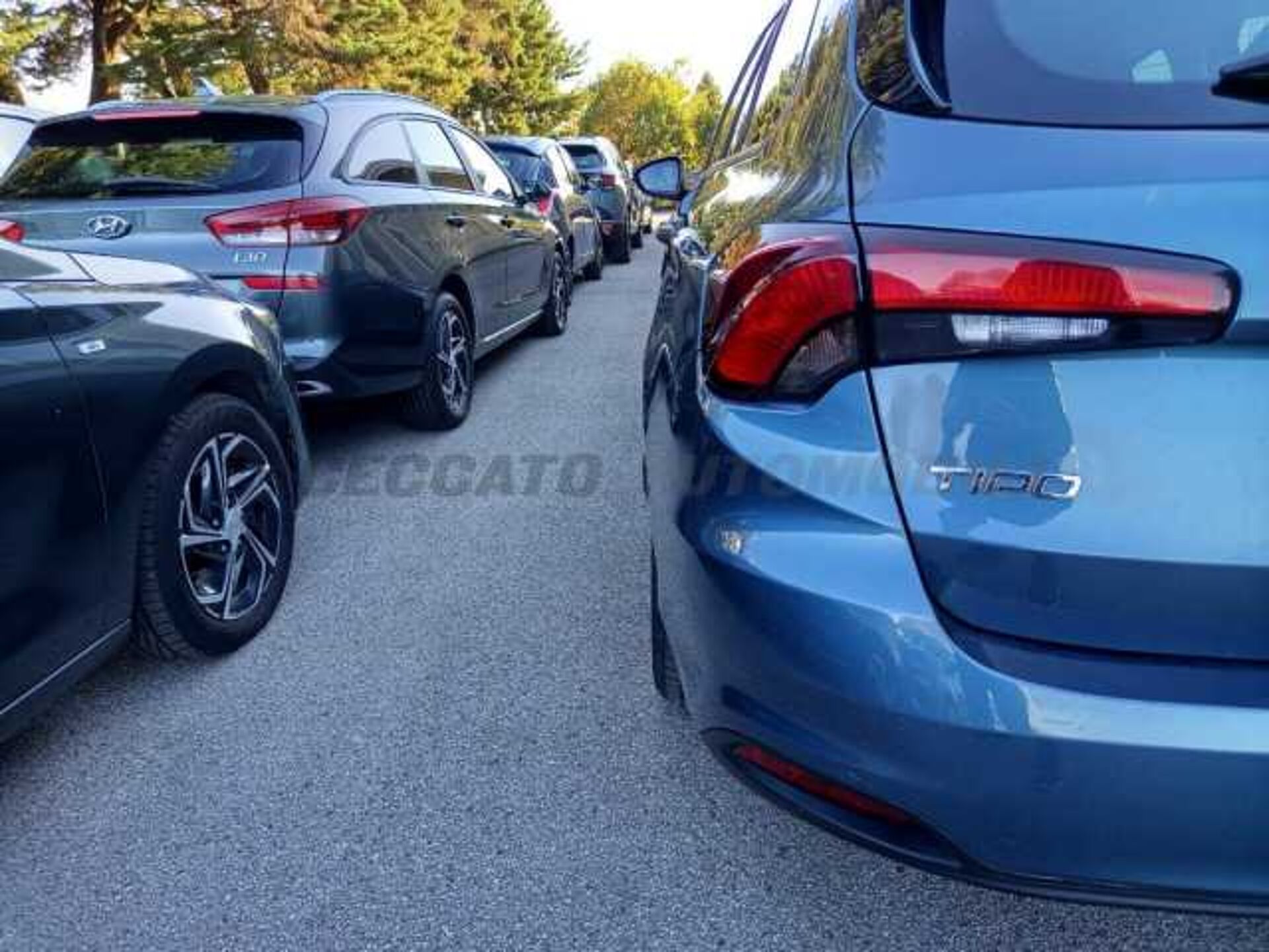 Fiat Tipo 1.0l - blue