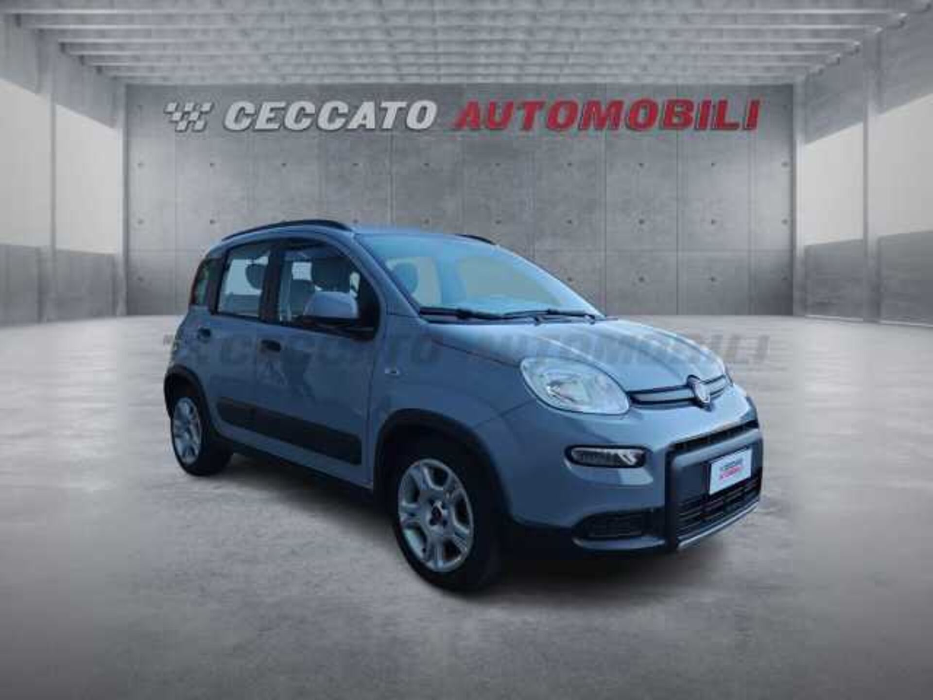 Fiat Panda 1.0l - grey