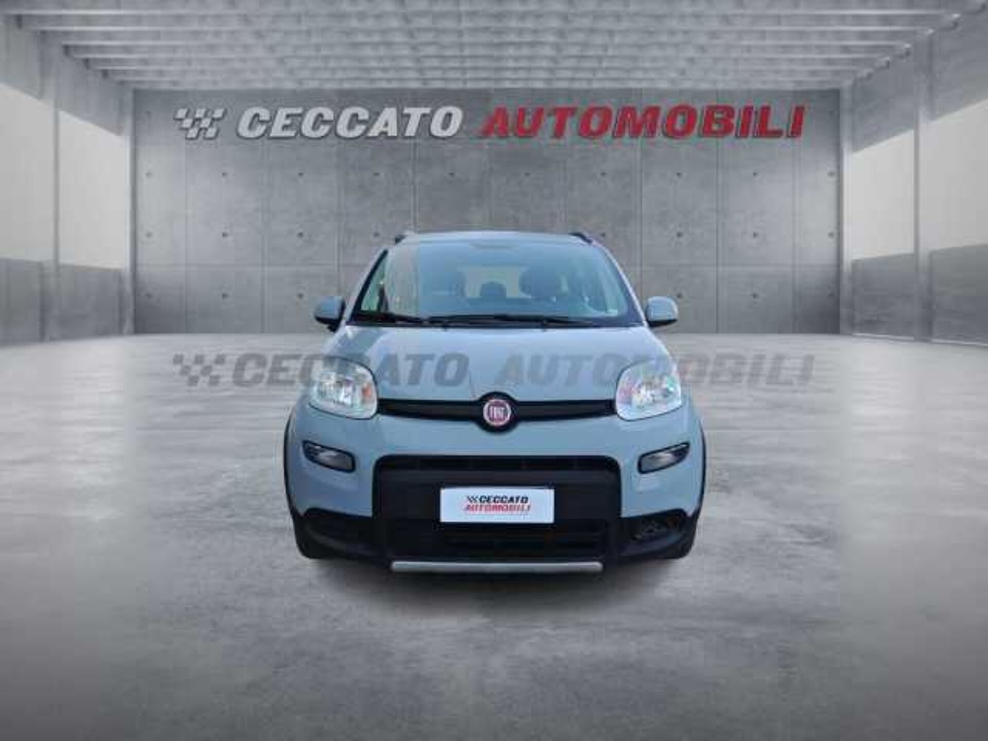 Fiat Panda 1.0l - grey