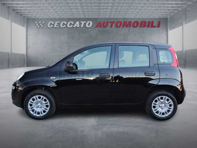 Fiat Panda 1.0l - black