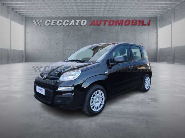 Fiat Panda 1.0l - black