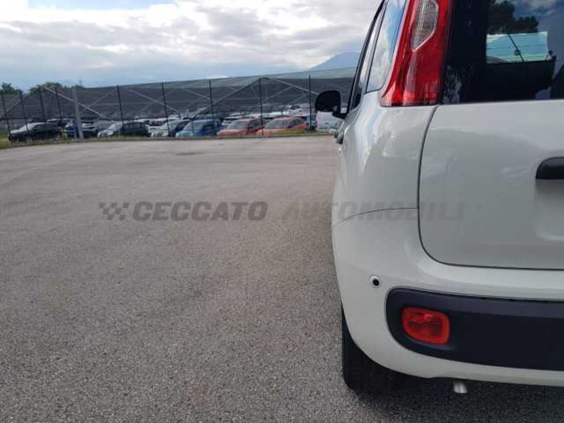 Fiat Panda 1.0l - white