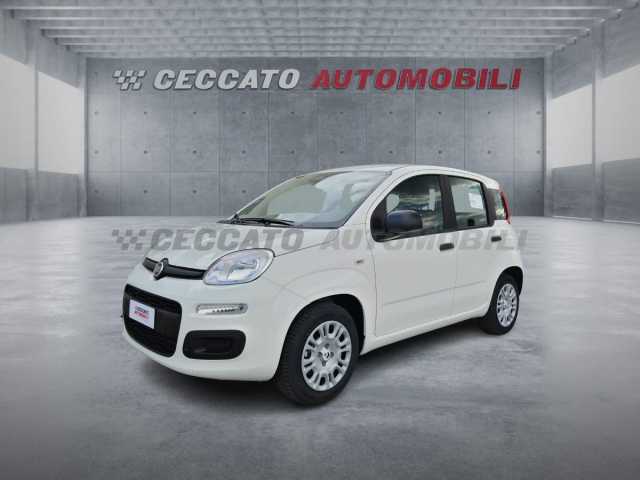 Fiat Panda 1.0l - white