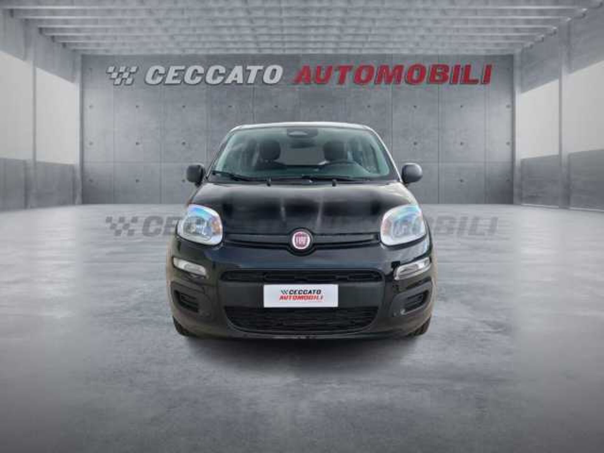 Fiat Panda 1.0l - black