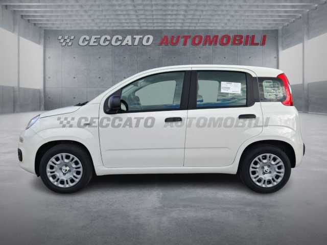 Fiat Panda 1.0l - white