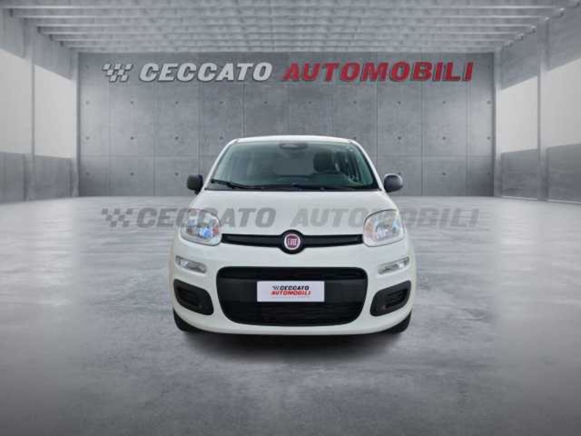 Fiat Panda 1.0l - white