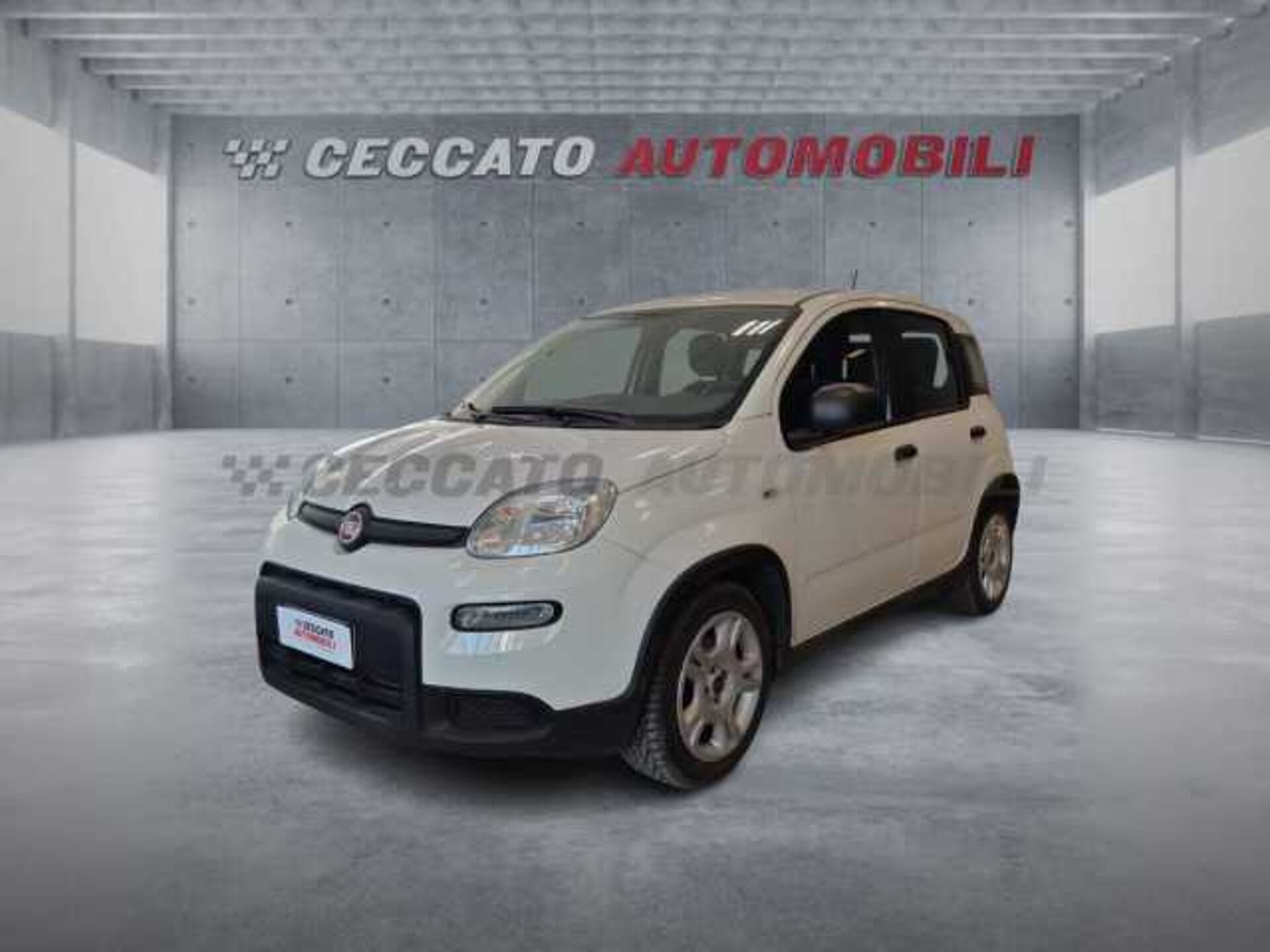 Fiat Panda 1.0l - white