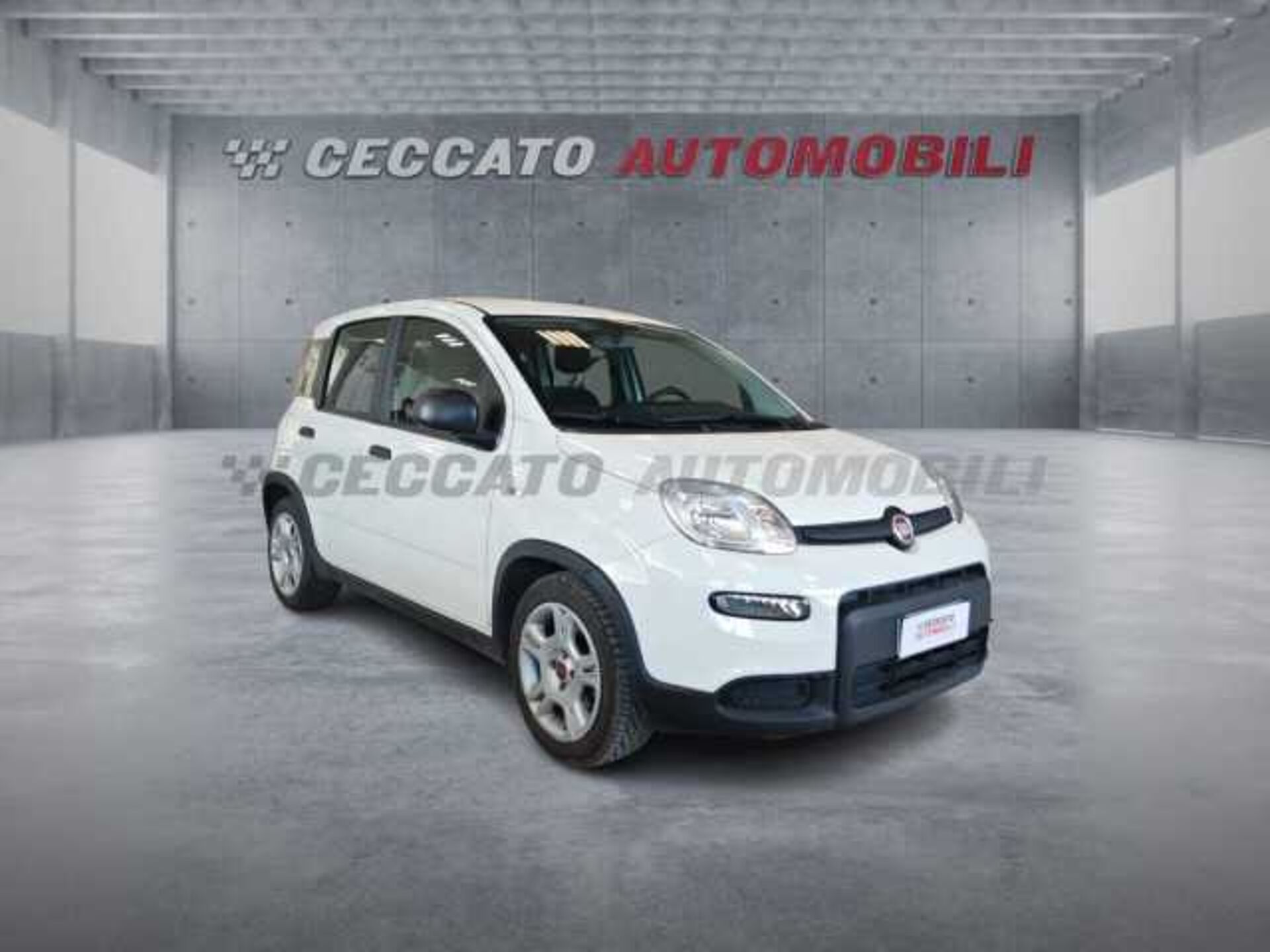 Fiat Panda 1.0l - white