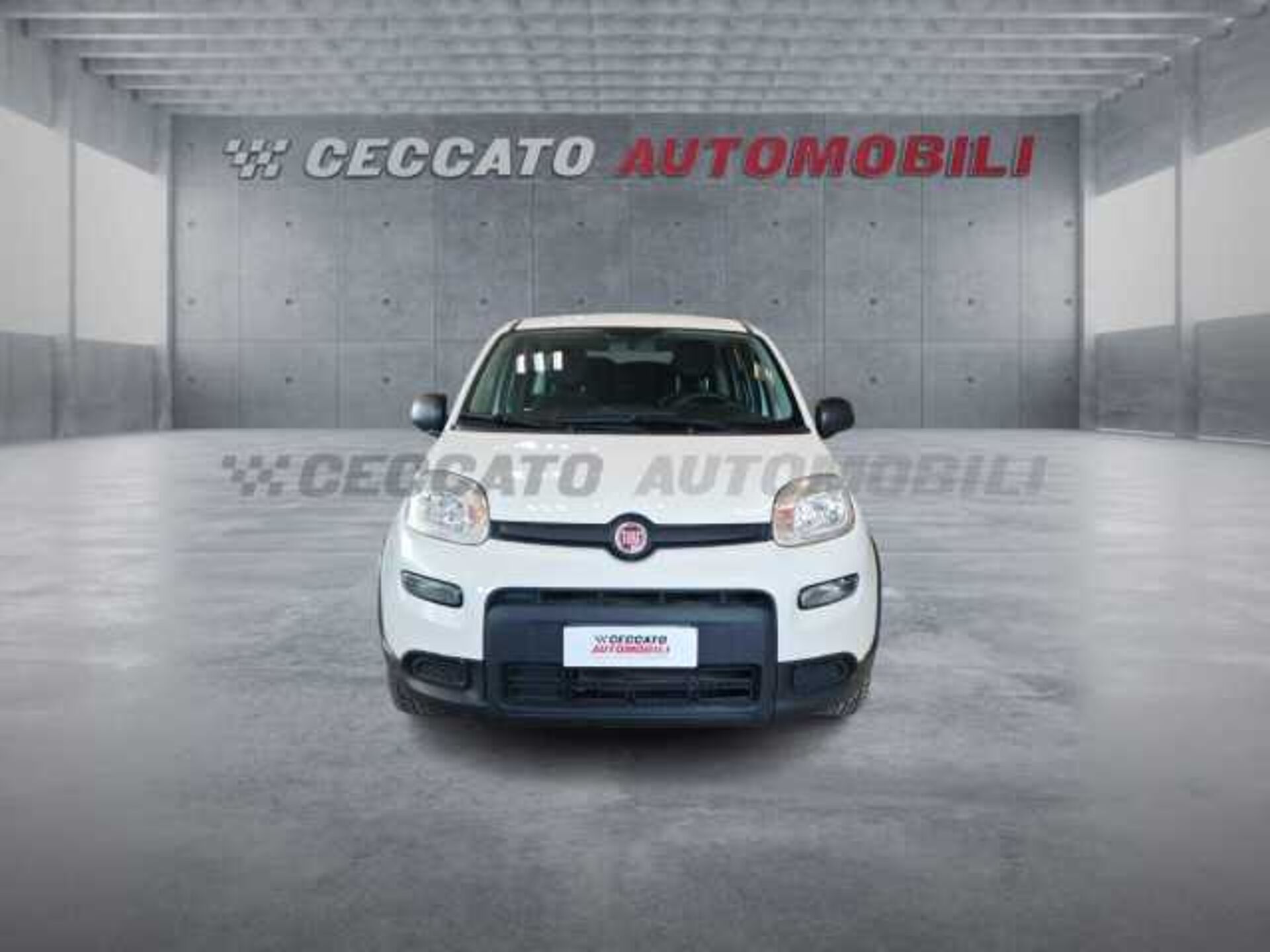 Fiat Panda 1.0l - white