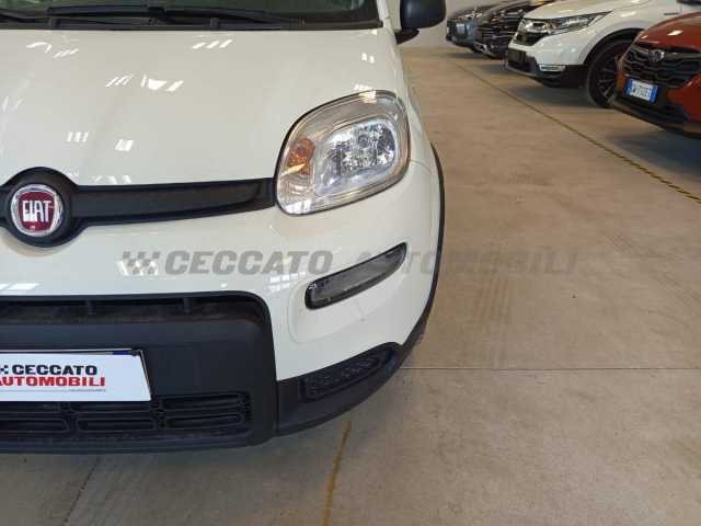 Fiat Panda 1.0l - white