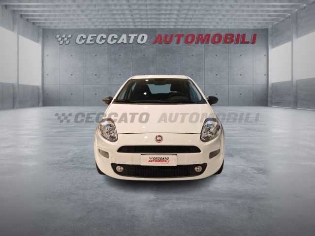 Fiat Punto 1.2l - white