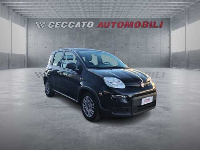 Fiat Panda 1l