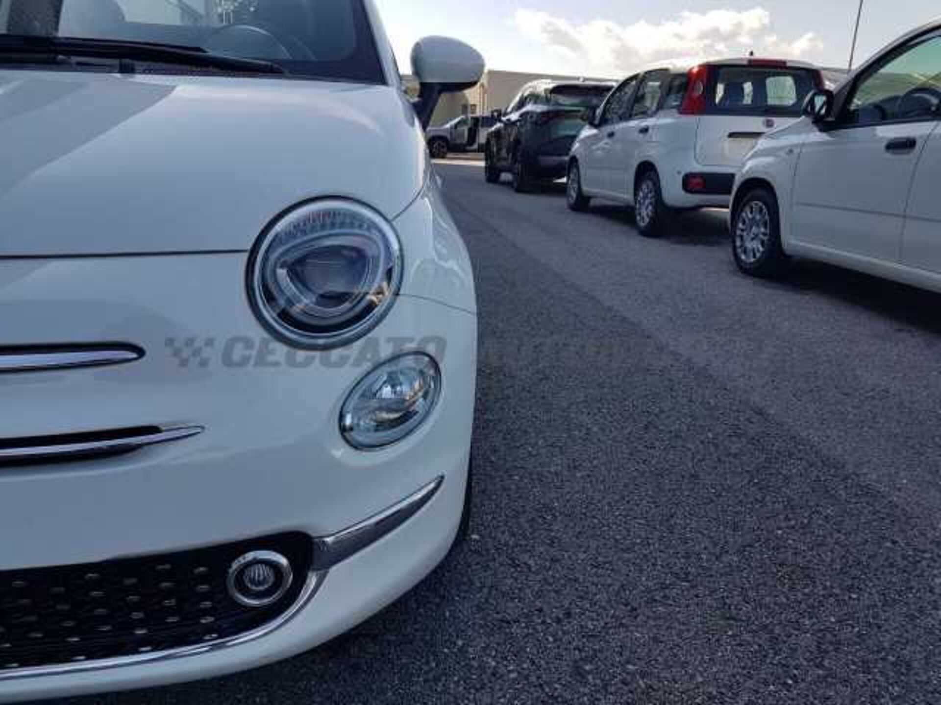 Fiat 500C 1.0l - white
