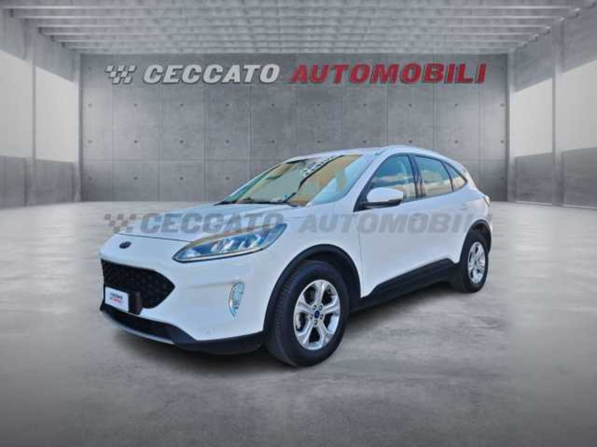 Ford Kuga 1.5l - white