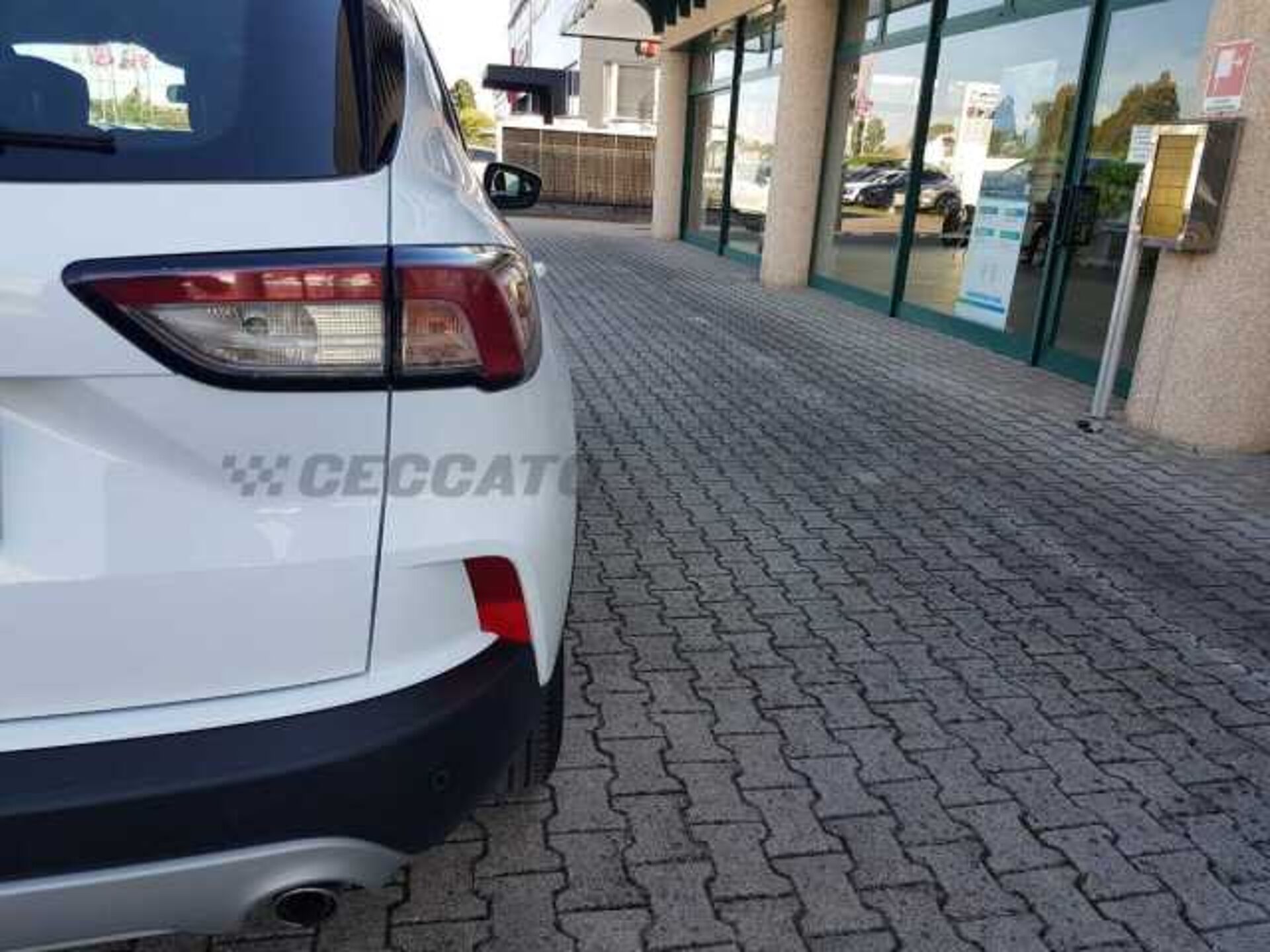 Ford Kuga 1.5l - white