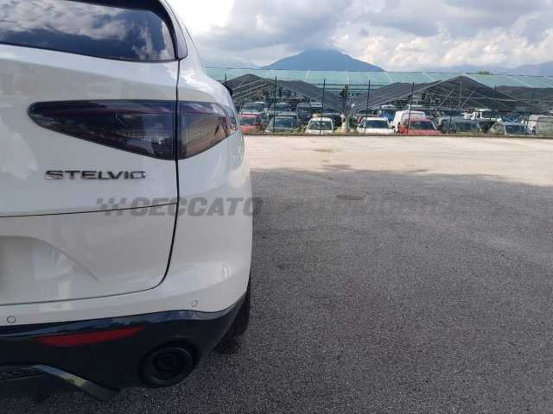 Alfa Romeo Stelvio 2.1l - white