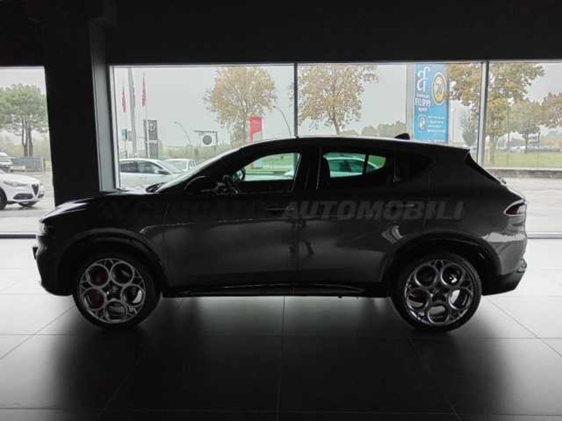 Alfa Romeo Tonale 1.3l - grey