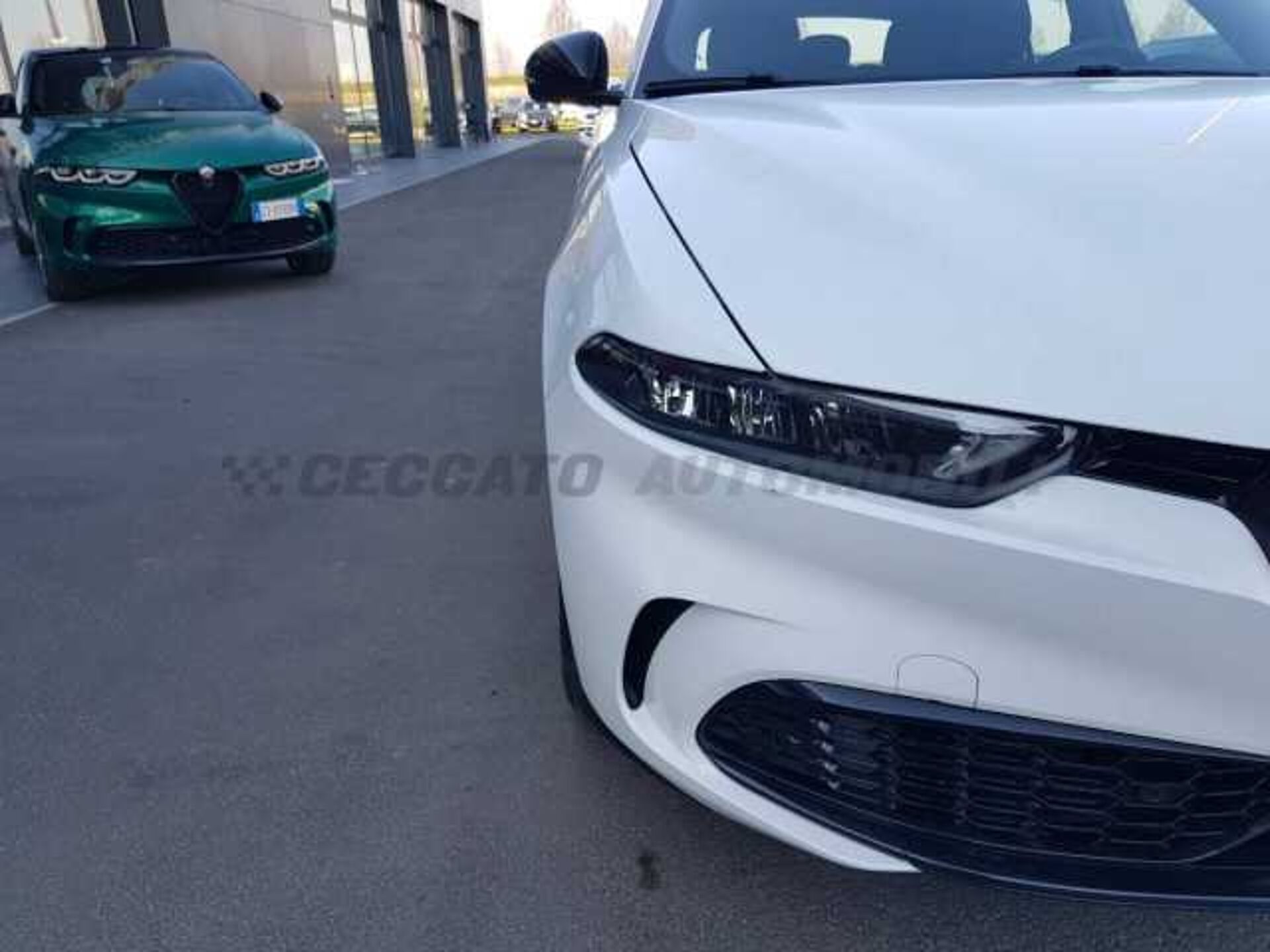 Alfa Romeo Tonale 1.6l - white