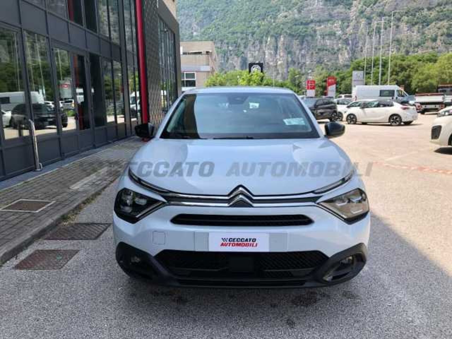 Citroen C4 0.0l - grey
