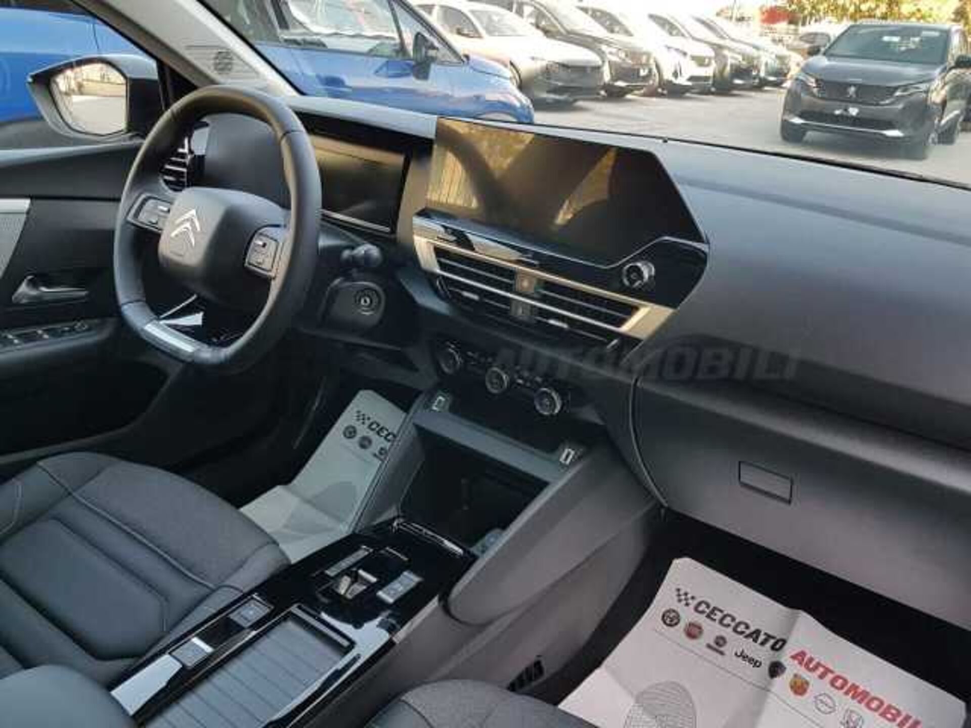 Citroen C4 X 0.0l - grey