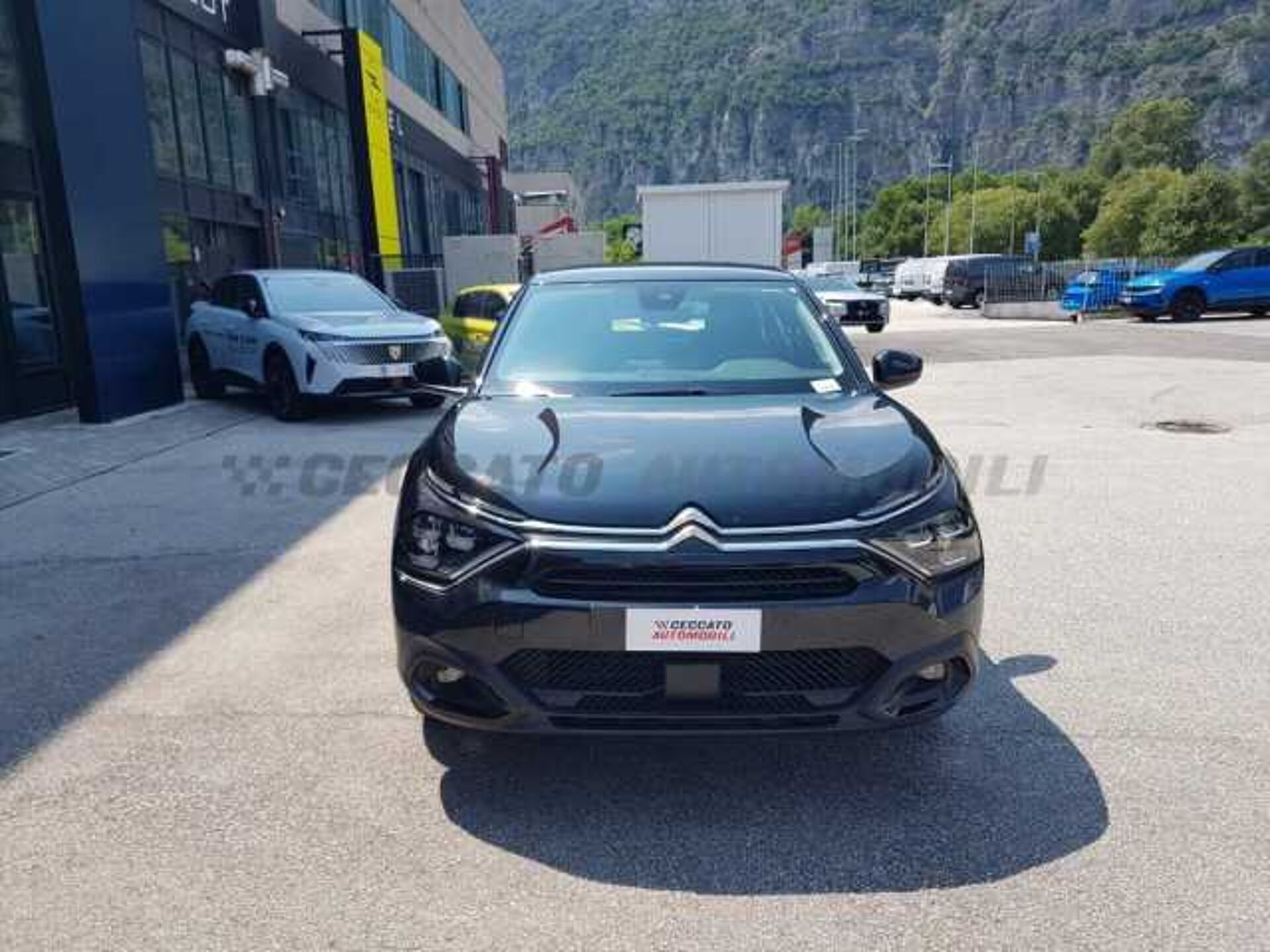 Citroen C4 0.0l - black