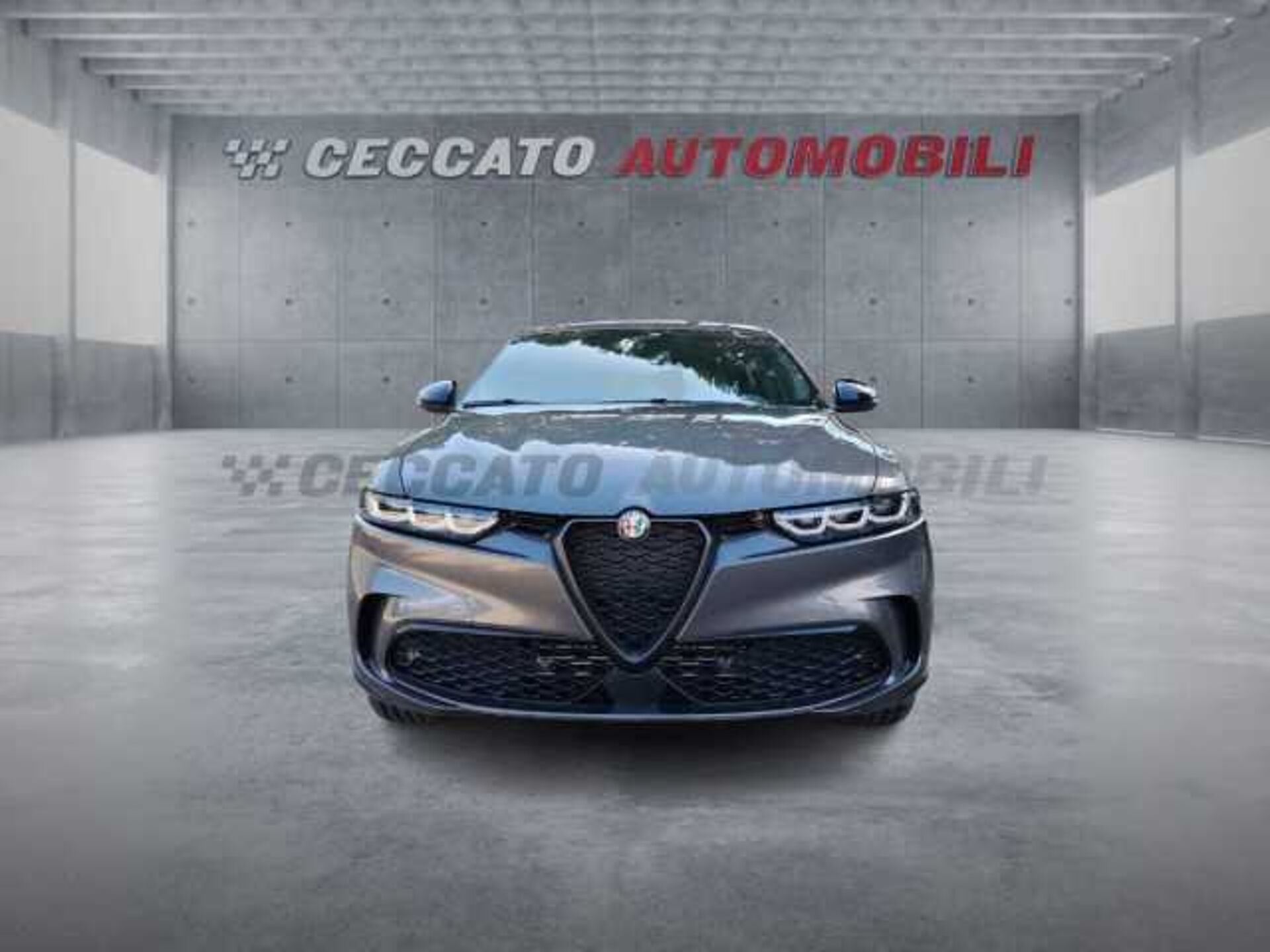 Alfa Romeo Tonale 1.6l - grey