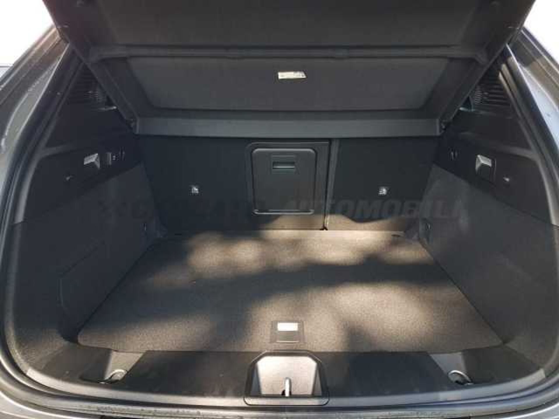 Alfa Romeo Tonale 1.6l - grey