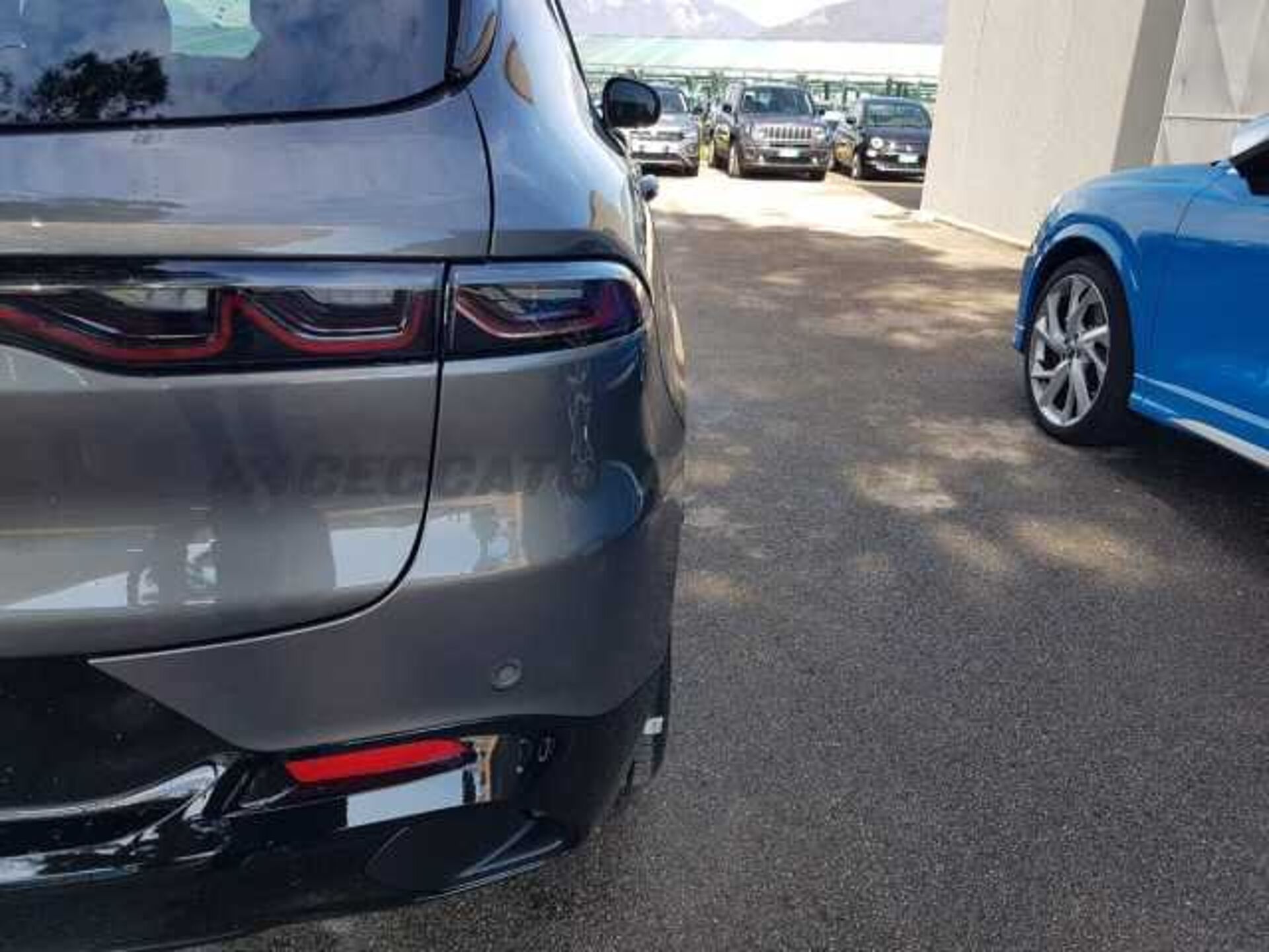 Alfa Romeo Tonale 1.6l - grey