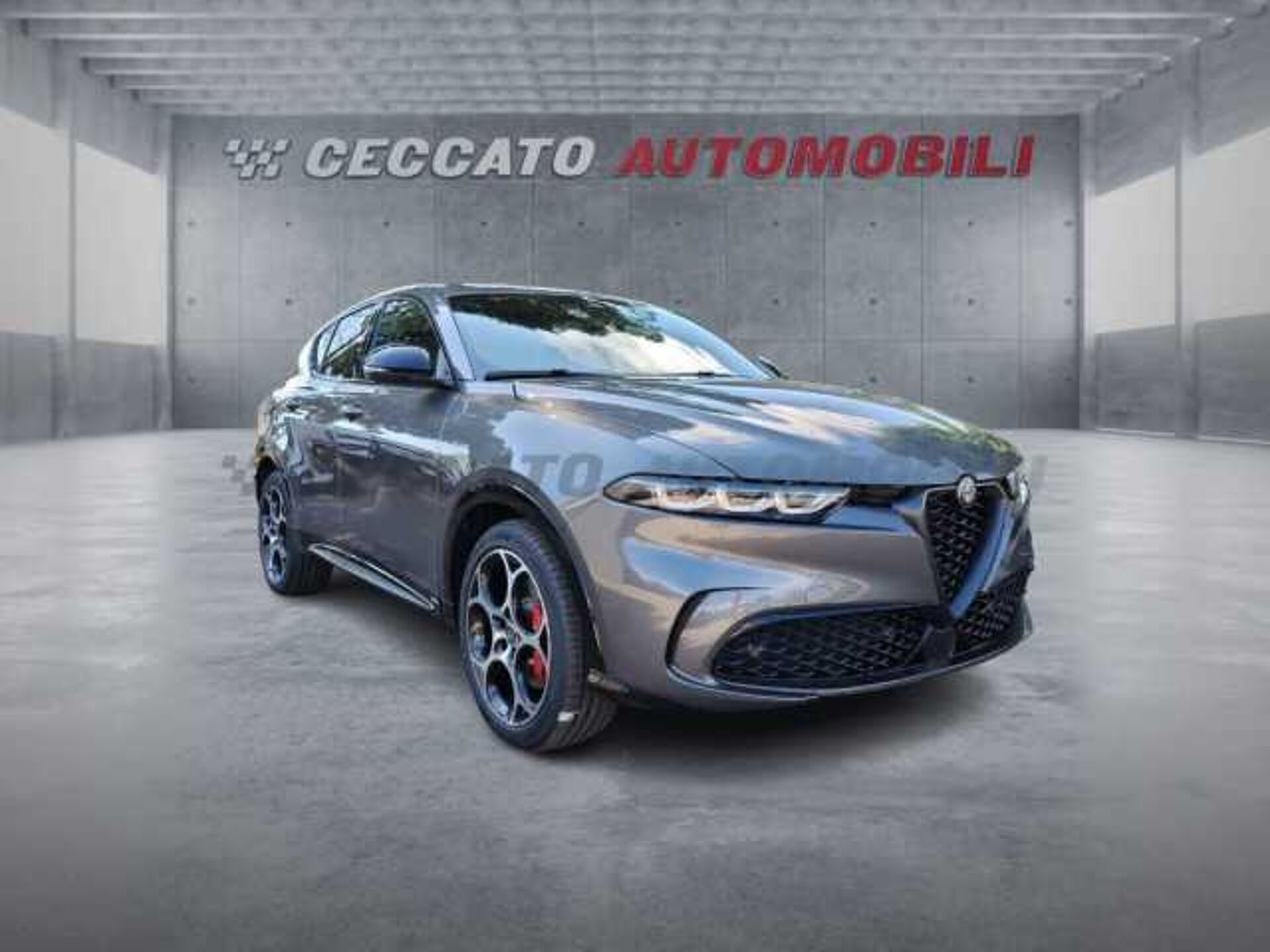 Alfa Romeo Tonale 1.6l - grey
