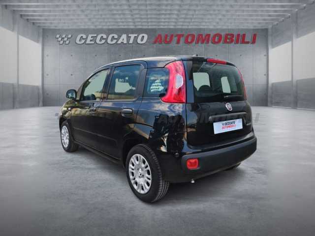 Fiat Panda 1.0l - black