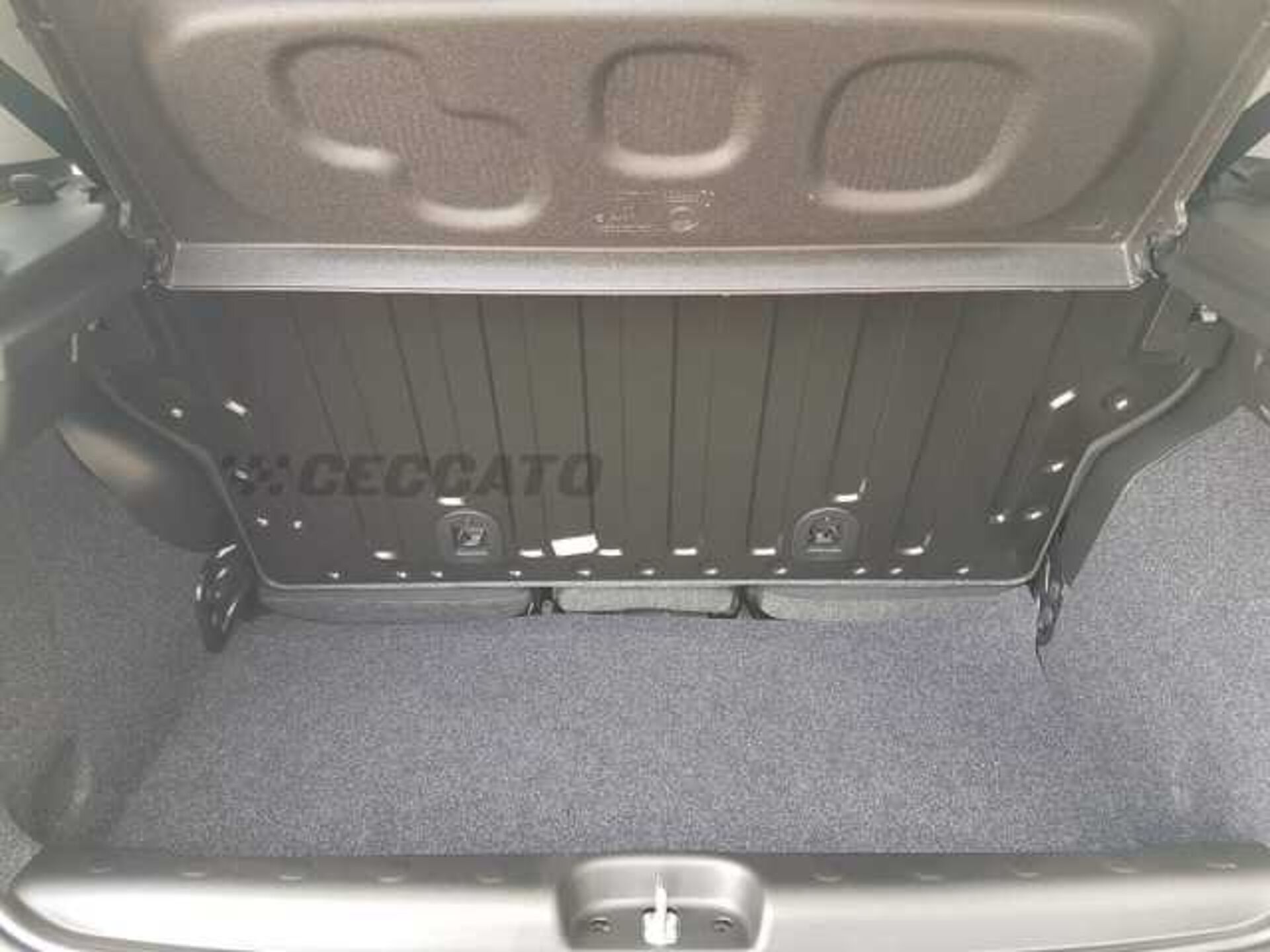 Fiat Panda 1.0l - black