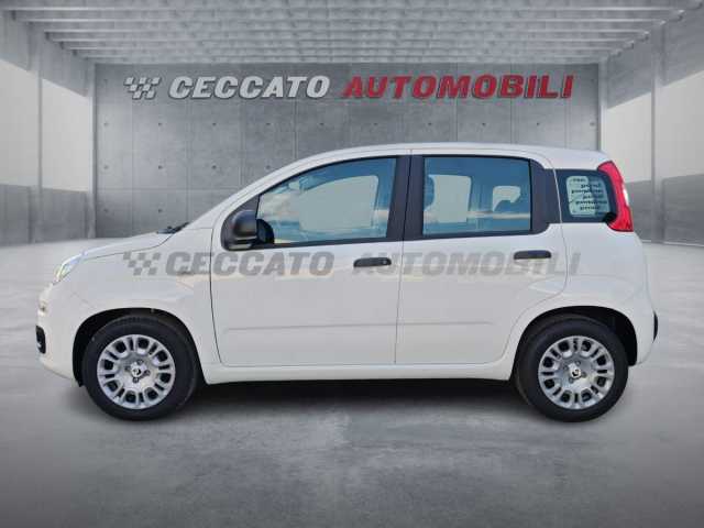 Fiat Panda 1.0l - white