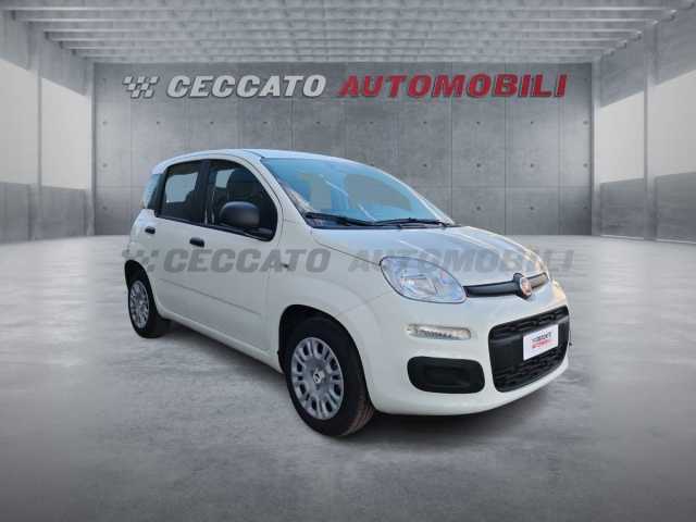 Fiat Panda 1.0l - white