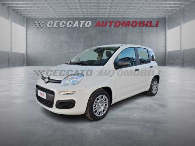 Fiat Panda 1.0l - white