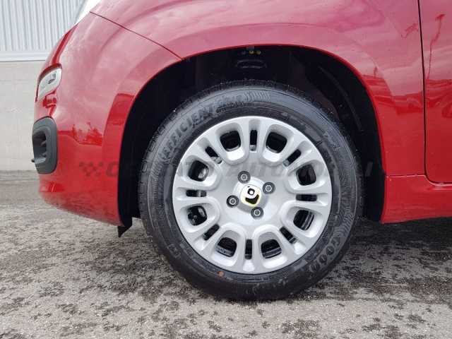 Fiat Panda 1.0l - red