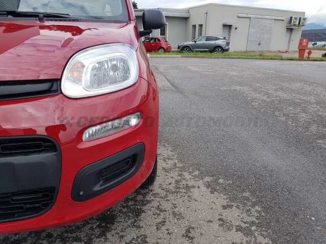 Fiat Panda 1.0l - red
