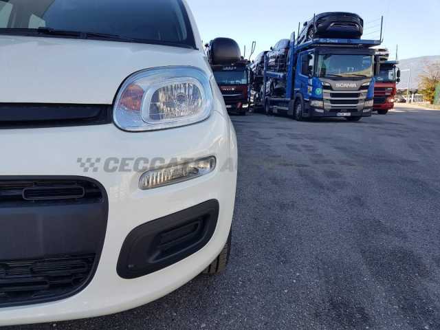 Fiat Panda 1.0l - white