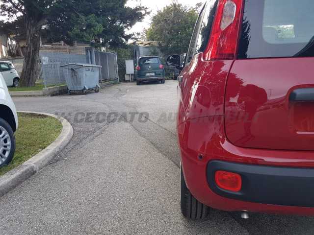 Fiat Panda 1.0l - red