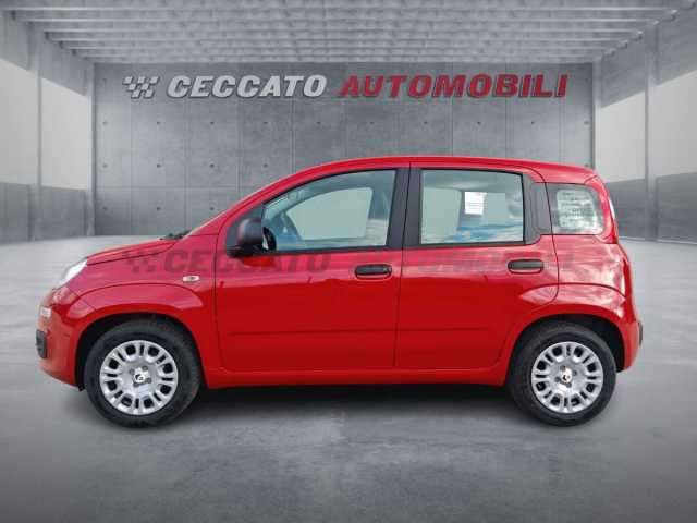 Fiat Panda 1.0l - red