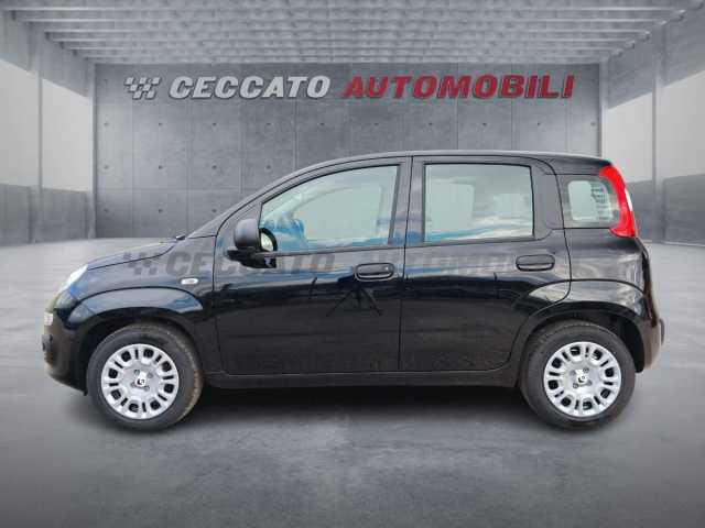 Fiat Panda 1.0l - black