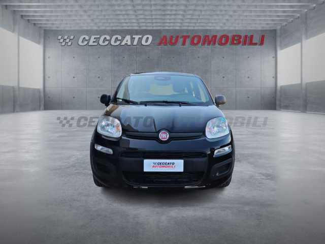 Fiat Panda 1.0l - black